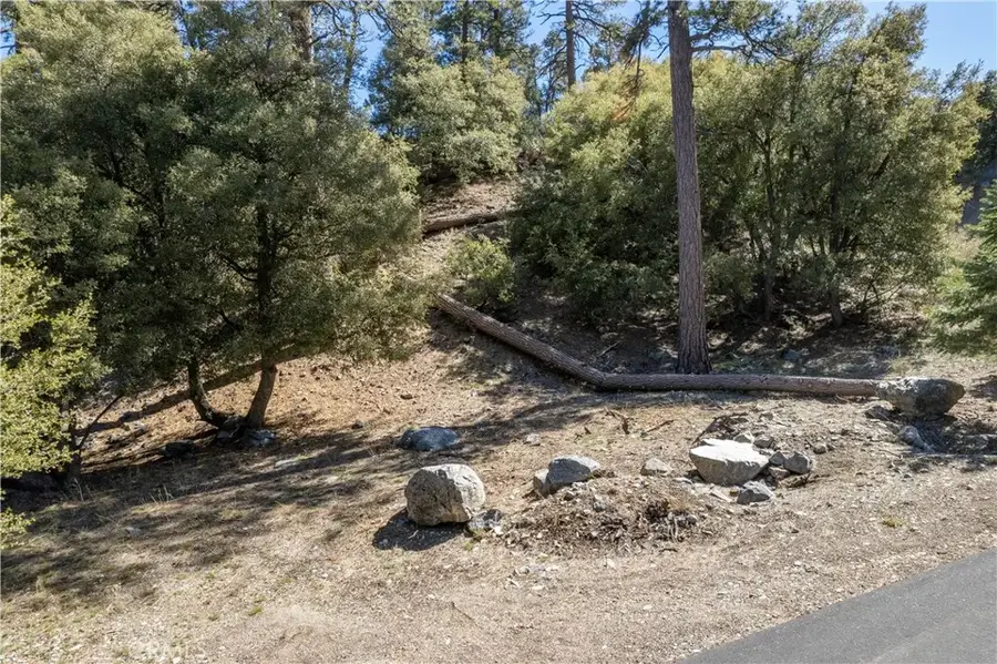 1300 Banff, Pine Mountain Club, CA 93222 - #2