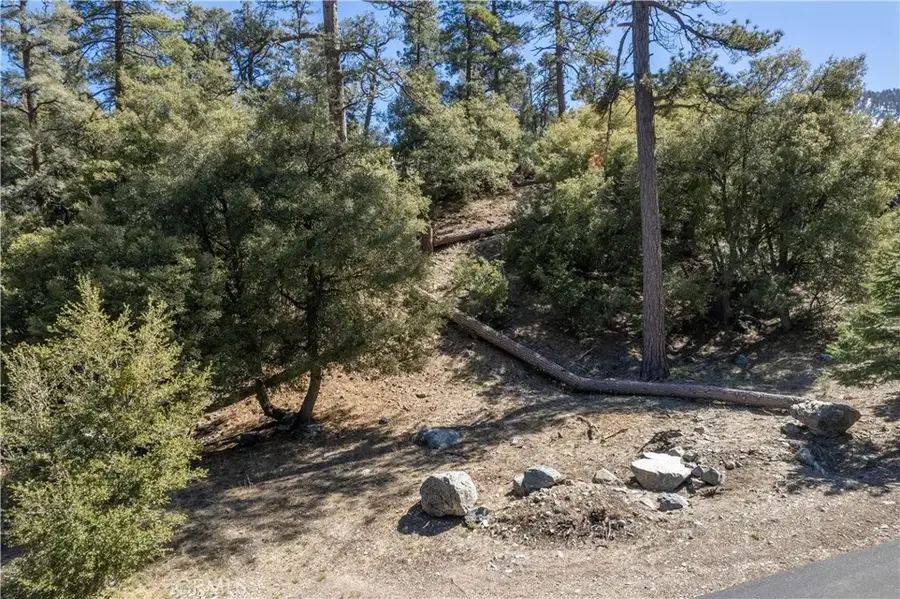 1300 Banff, Pine Mountain Club, CA 93222 - #3