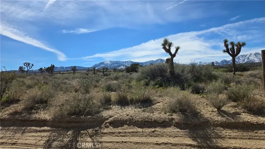 0 Fort Tejon Rd Vicinity 181st St E, Llano, CA 93544 - #3