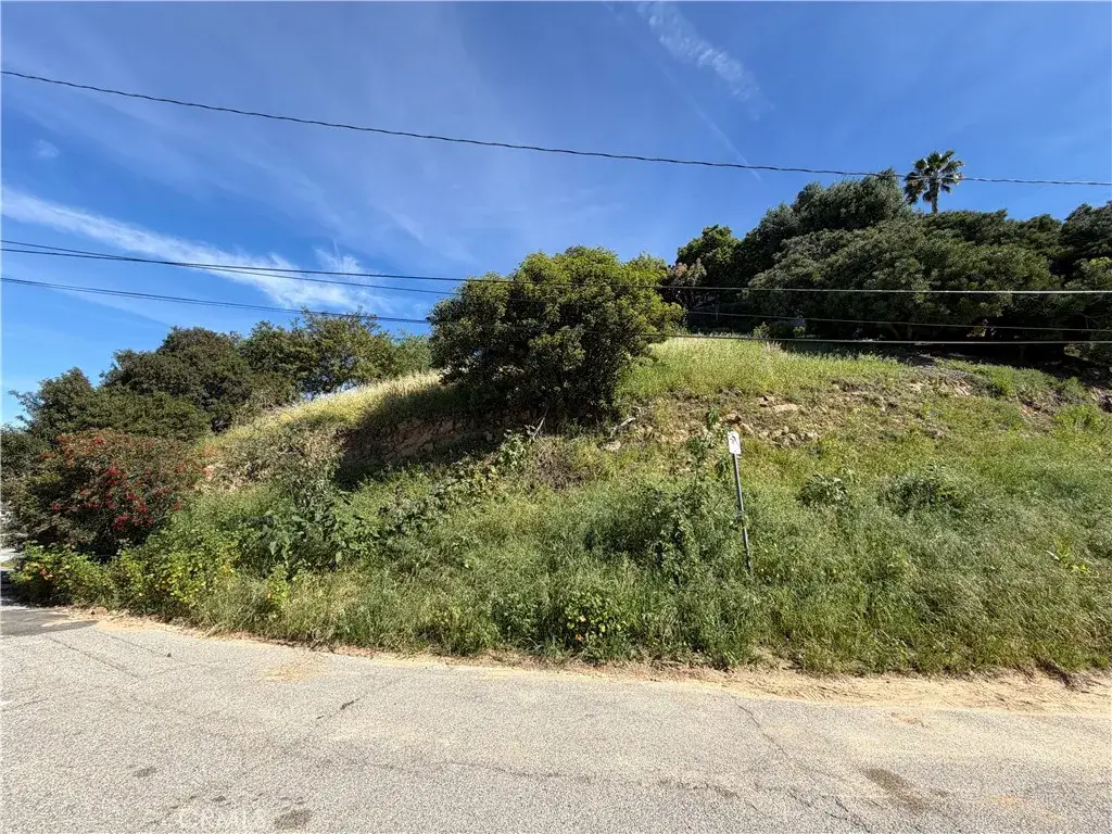 2556 El Rosa, Los Angeles, CA 90065 - #1