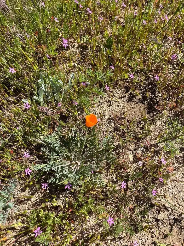 0 Lebec, Lebec, CA 93243 - #2