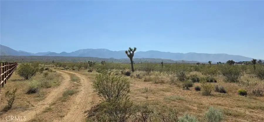 0 173rd E W-12, Llano, CA 93544 - #3