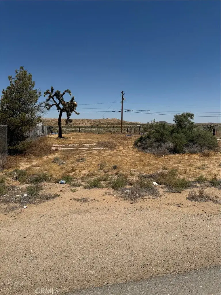 26081 20 Mule Team, Boron, CA 93516 - #3