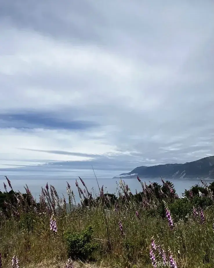 53 Redcrest, Shelter Cove, CA 95589 - #3