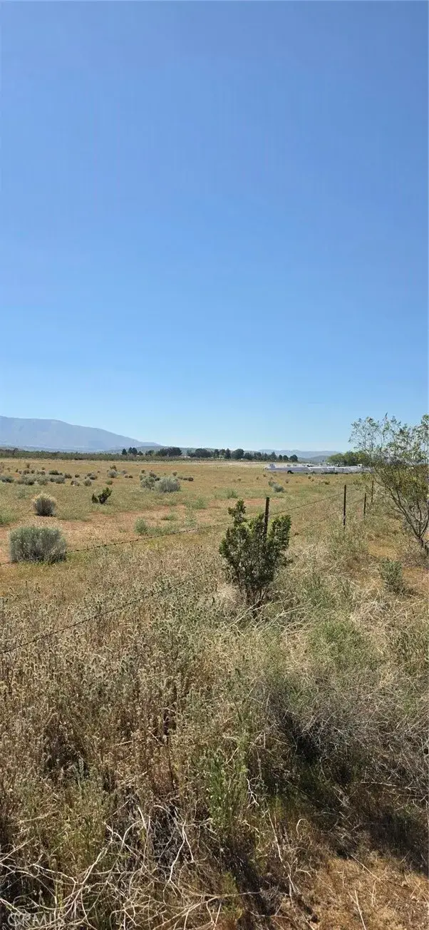 0 175th St E W14, Llano, CA 93591 - #2