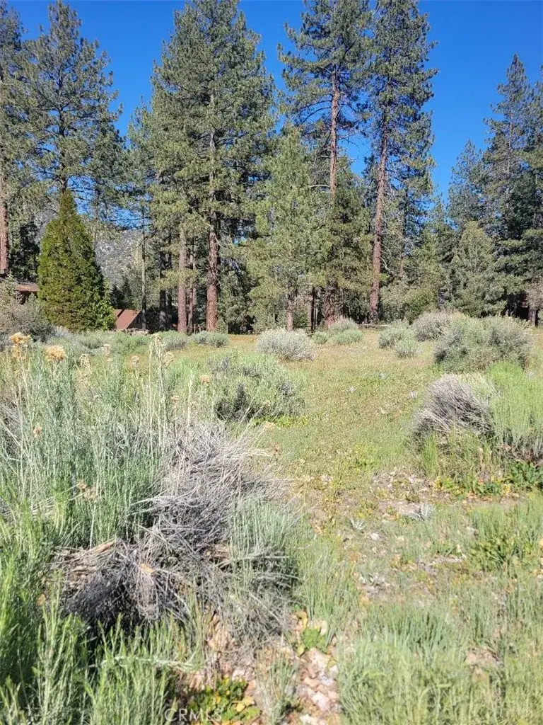 2612 Brentwood, Pine Mountain Club, CA 93222 - #1