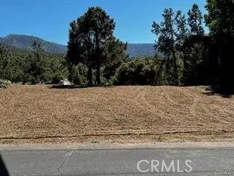 2045 Woodland, Pine Mountain Club, CA 93222 - #1