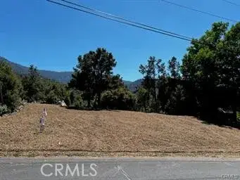 2045 Woodland, Pine Mountain Club, CA 93222 - #2