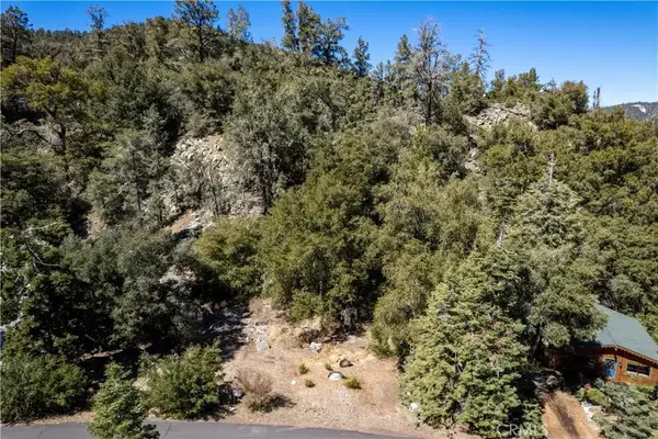 1301 Bernina, Pine Mountain Club, CA 93222