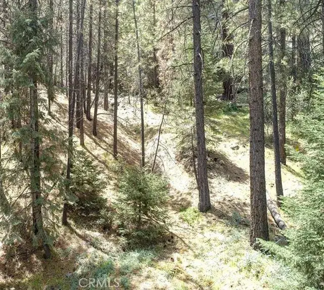 1316 Zermatt Court, Pine Mountain Club, CA 93222 - #1
