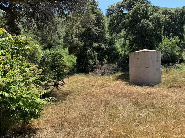 0 San Francisquito Canyon, Green Valley, CA 91390