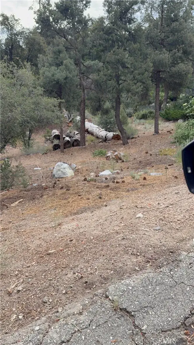 1620 Zion, Pine Mountain Club, CA 93222 - #1