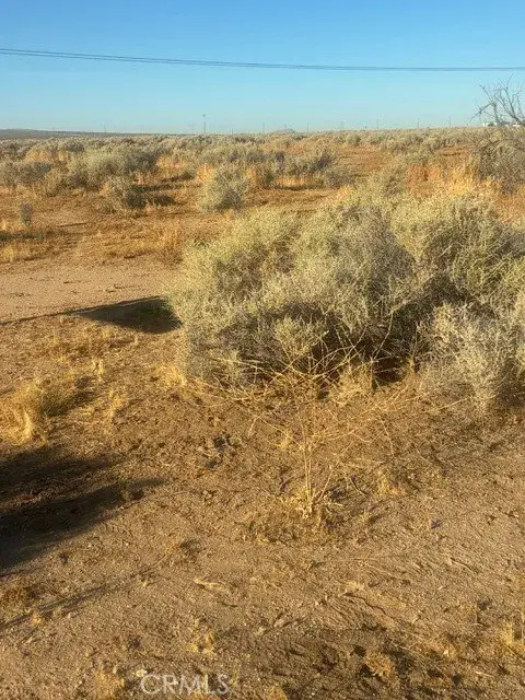 0 Evergreen, California City, CA 93505 - #3