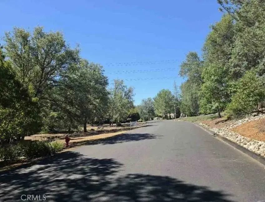 4175 Vega, Shingle Springs, CA 95682 - #2
