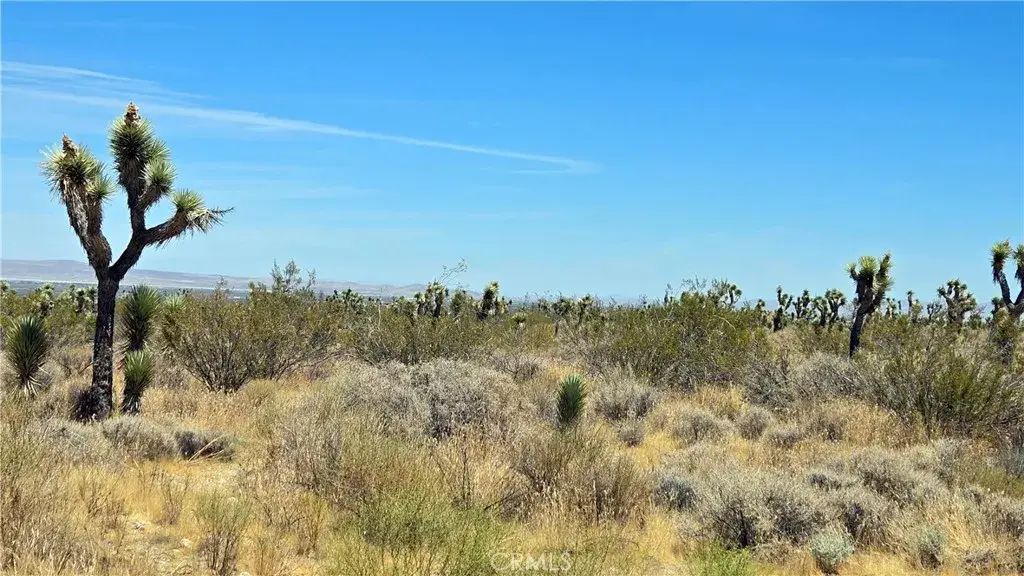 0 Vicinity Avenue X4 & 231st E, Llano, CA 93544 - #1