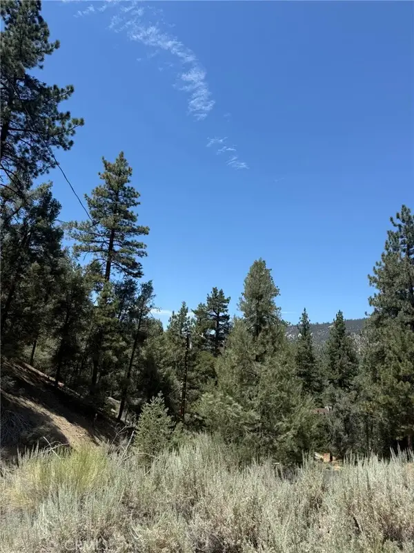 1912 Symonds, Pine Mountain Club, CA 93222
