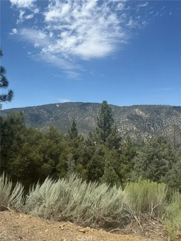 1824 Pioneer, Pine Mountain Club, CA 93222