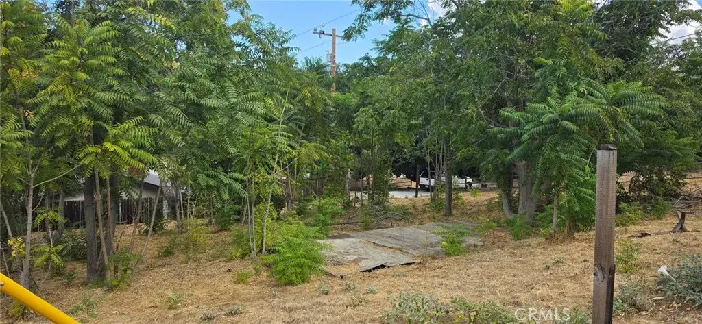 15407 Calle Maleza, Green Valley, CA 91390 - #1