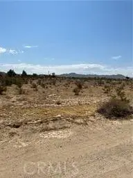 0 Ne Ledbiry, Oro Grande, CA 92368 - #1