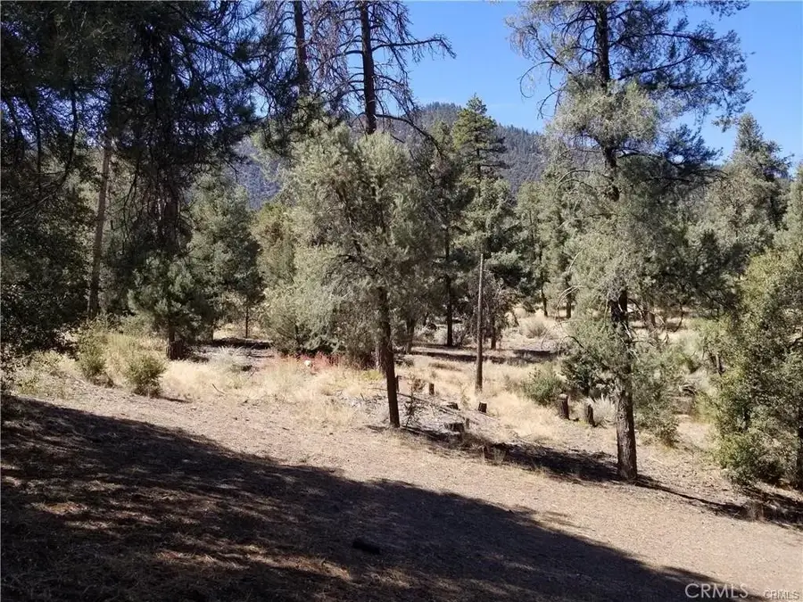1912 Ironwood, Pine Mountain Club, CA 93222 - #3