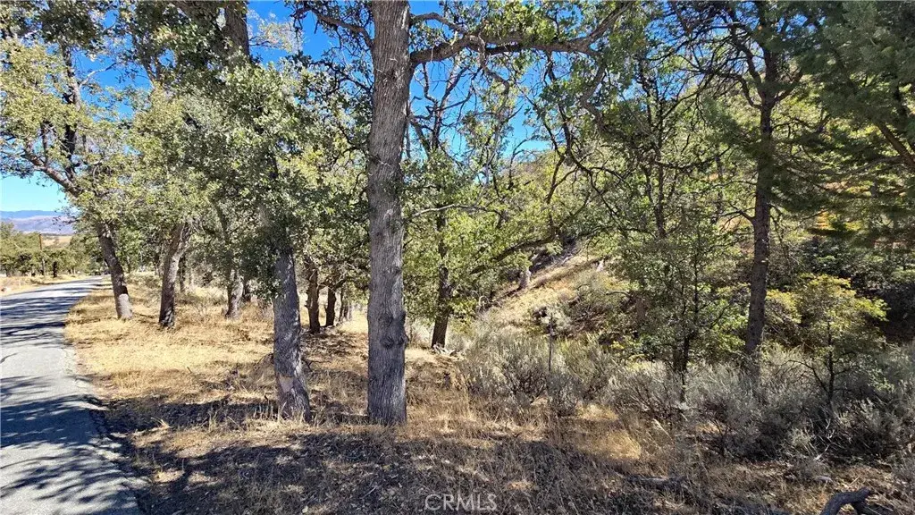 0 Saint Moritz Drive, Tehachapi, CA 93561 - #1