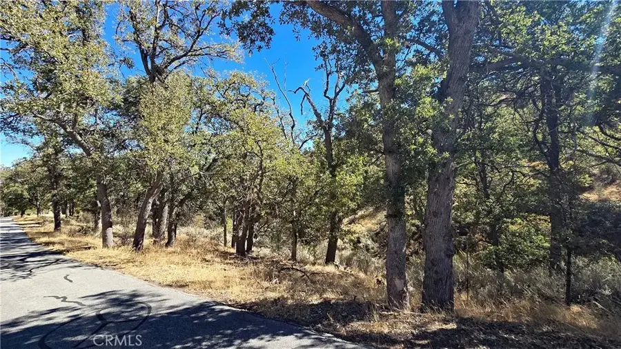 0 Saint Moritz Drive, Tehachapi, CA 93561 - #3