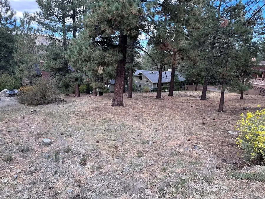 0 Timberline Dr Lot 13, Wrightwood, CA 92397 - #3