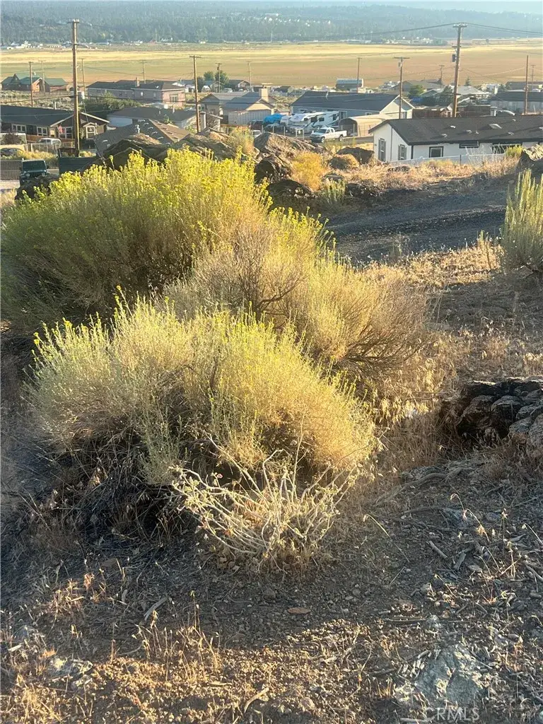 0 Rocky Point Dr. & Wooded Rd., Big Bear City, CA 92314 - #2