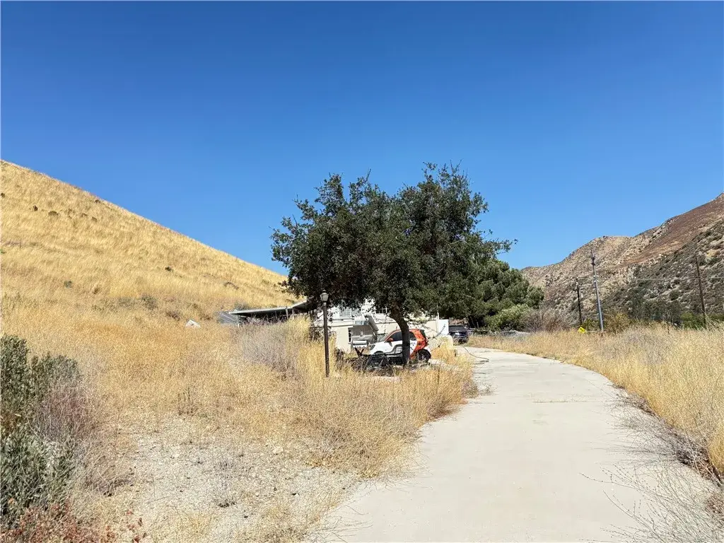 11561 Soledad Canyon, Agua Dulce, CA 91390 - #1