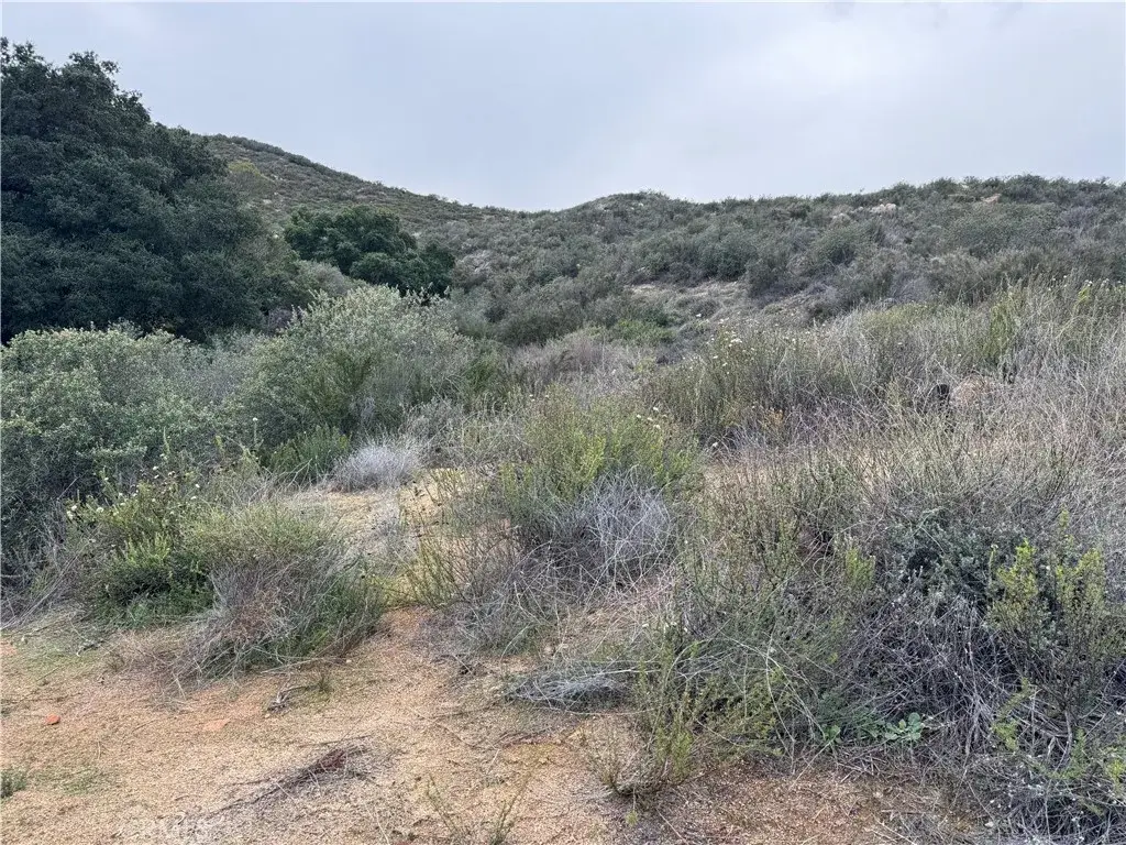 16 Orange, Menifee, CA 92584 - #1