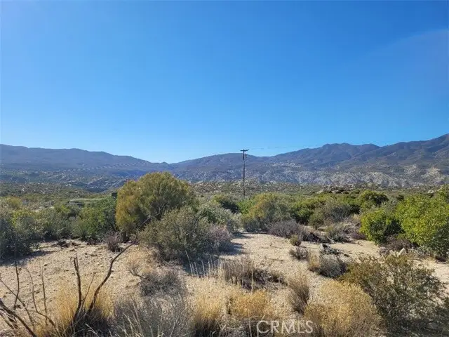 #3