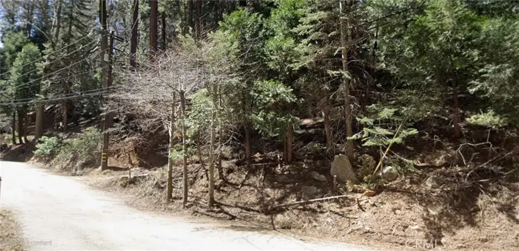0 Community, Lake Arrowhead, CA 92352 - #1