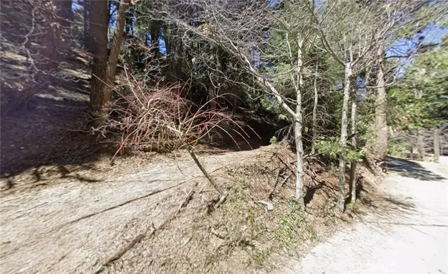 0 Community, Lake Arrowhead, CA 92352 - #3