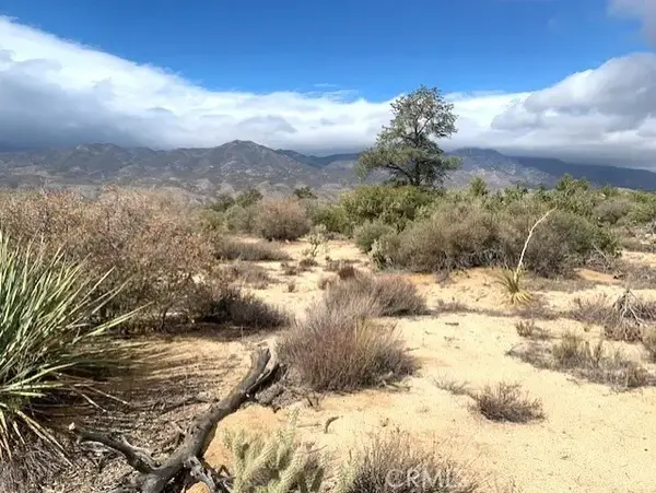 368 Palm Canyon, Mountain Center, CA 92561