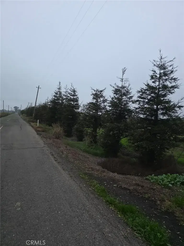0 W Walker Landing, Walnut Grove, CA 95690 - #1