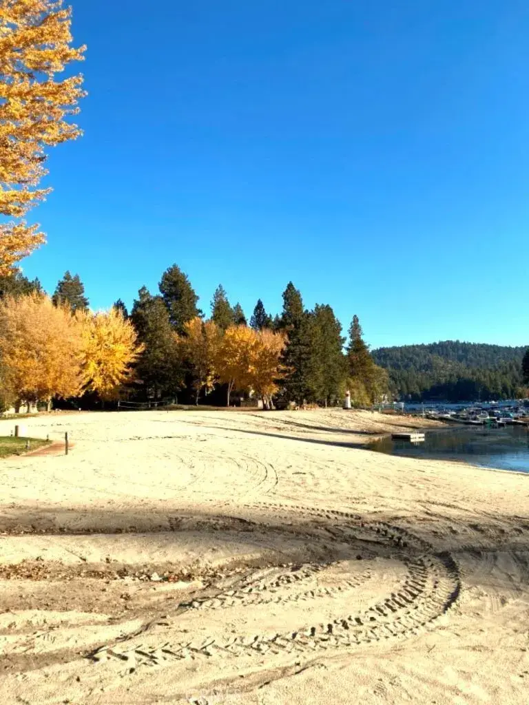 27657 Peninsula Drive #106, Lake Arrowhead, CA 92352 - Image #3