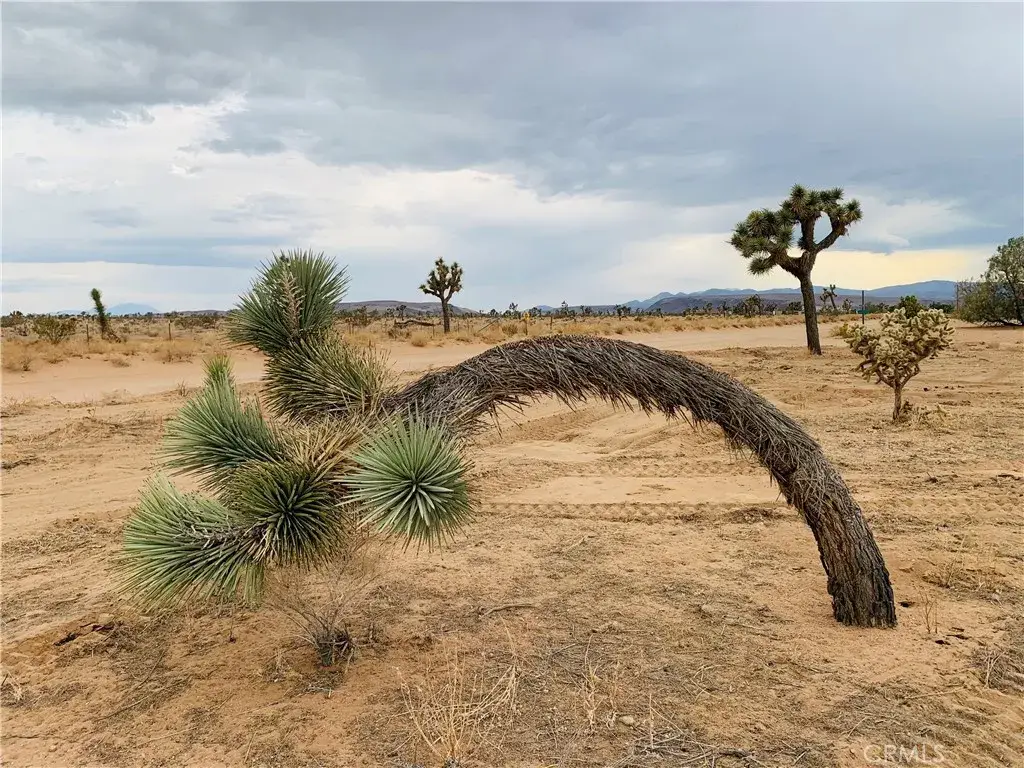 58040 Junipero, Yucca Valley, CA 92284 - Image #1