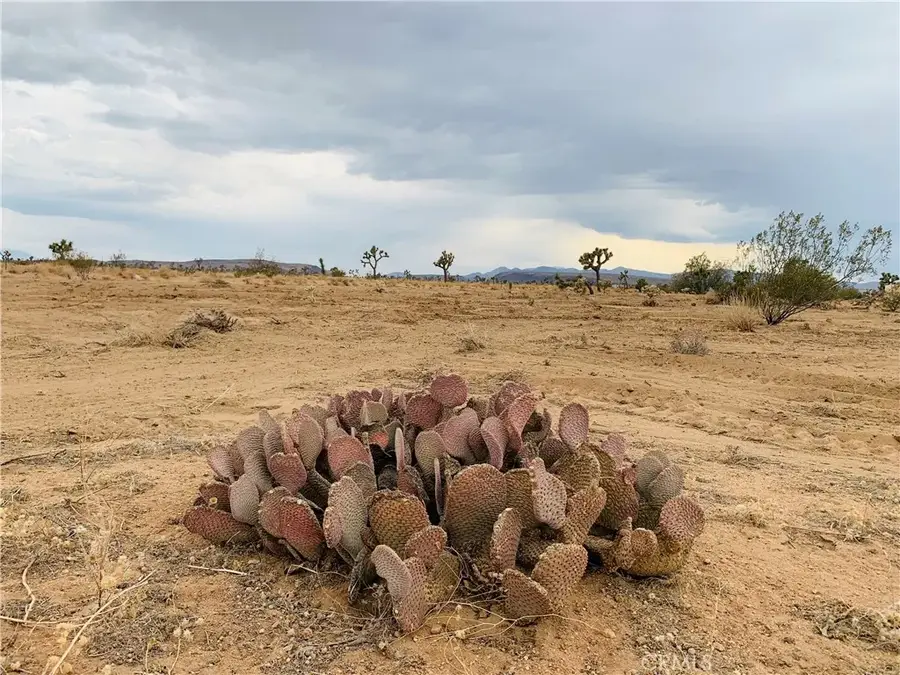58040 Junipero, Yucca Valley, CA 92284 - Image #2