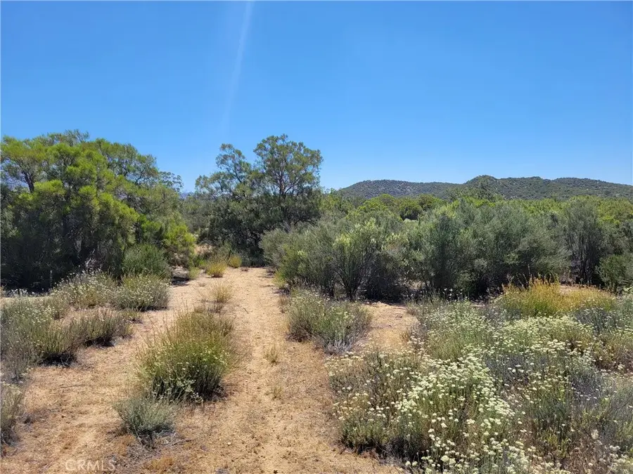 0 Terwilliger, Anza, CA 92539 - #3