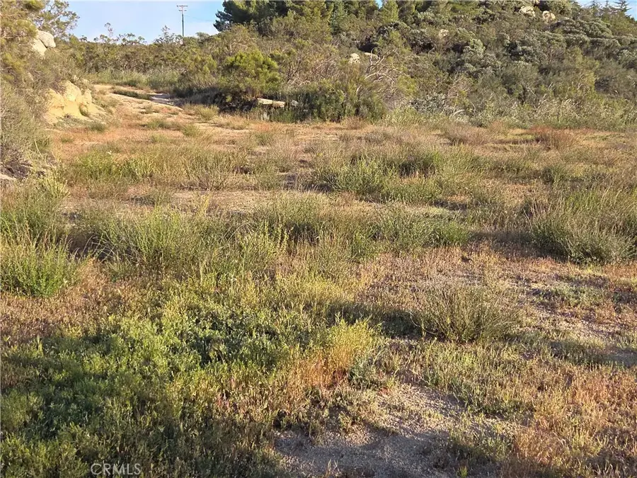 1007 Roan Way, Aguanga, CA 92536 - #3