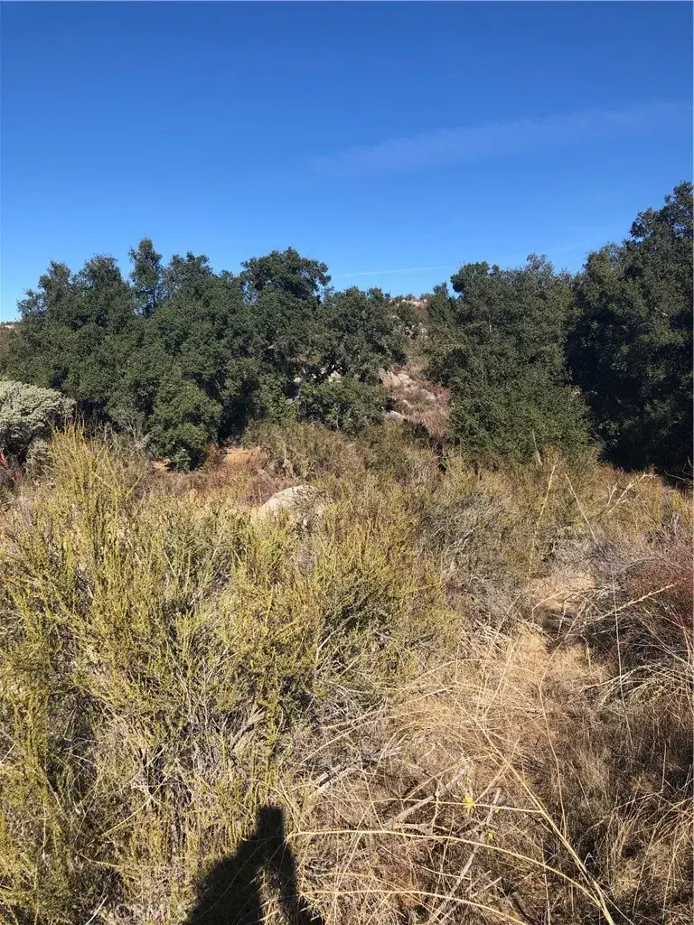 0 Red Mountain, Hemet, CA 92544 - #3