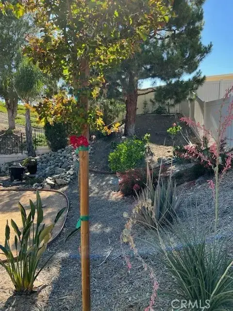 29351 Quaking Aspen Way, Menifee, CA 92584 - #2