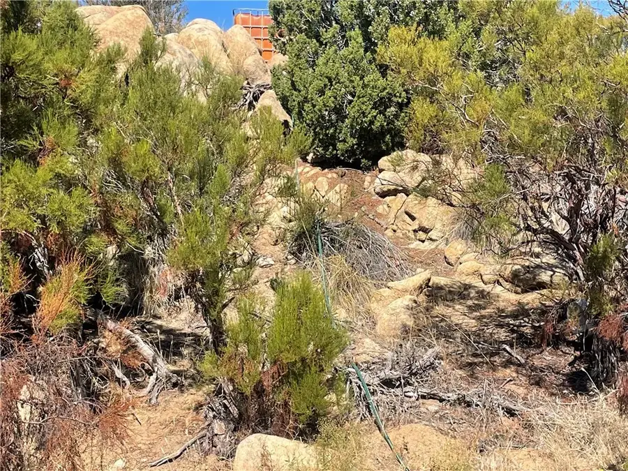 44813 Broken Wheel, Anza, CA 92539 - #2