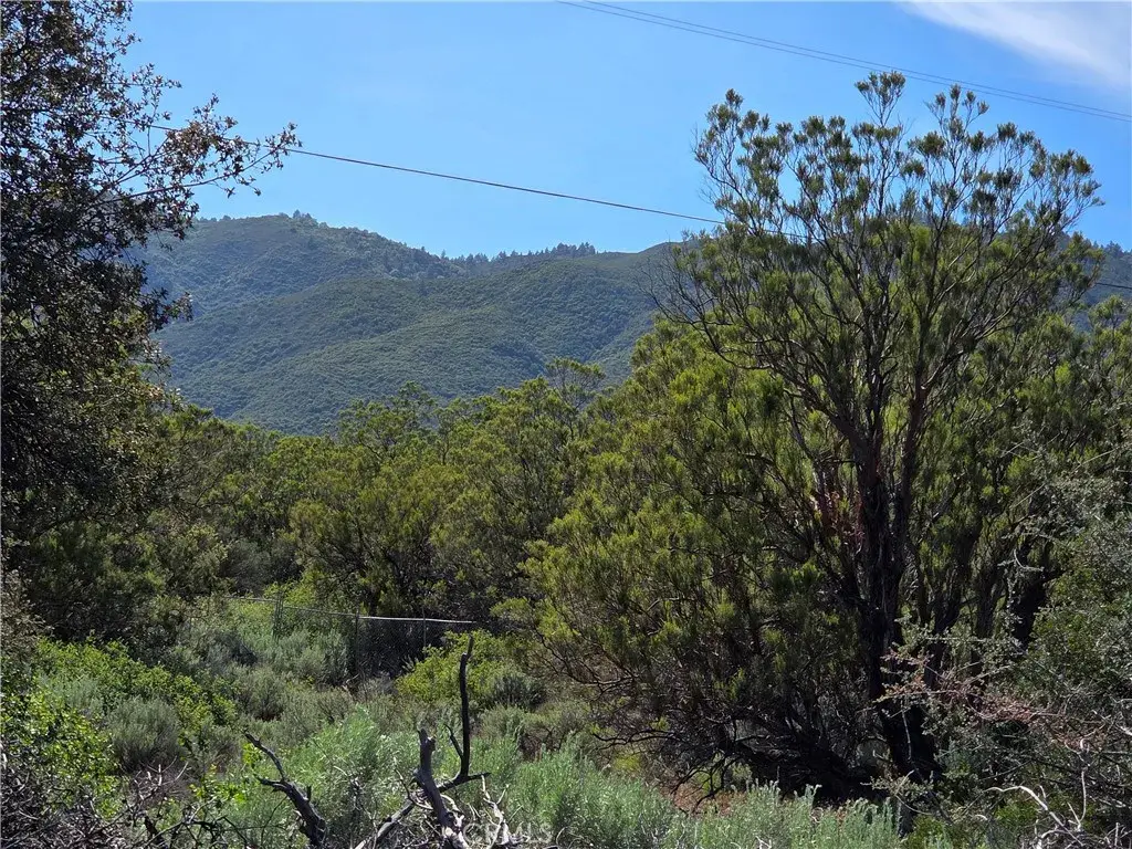 37400 Tripp Flats, Anza, CA 92539 - #1