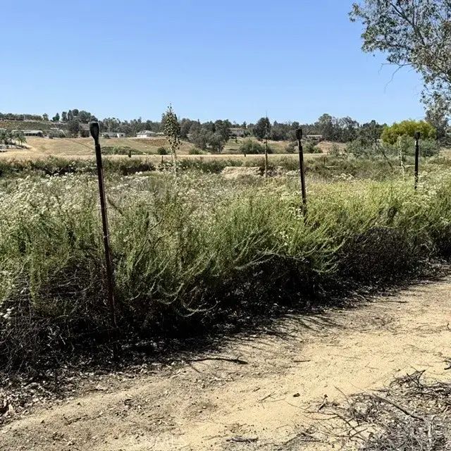 31895 Nicolas, Temecula, CA 92591 - #1