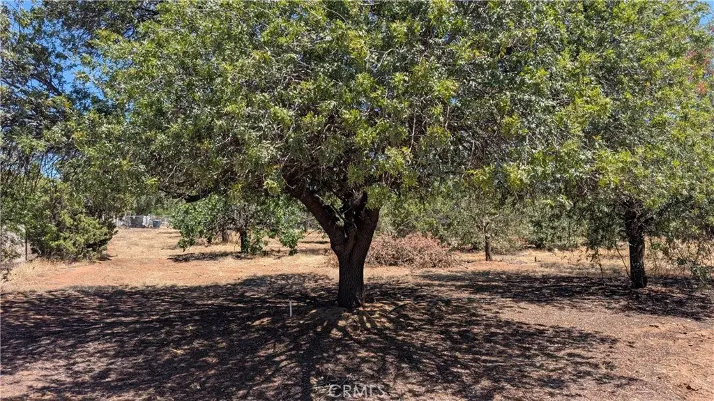 0 Irma, Perris, CA 92570 - #1