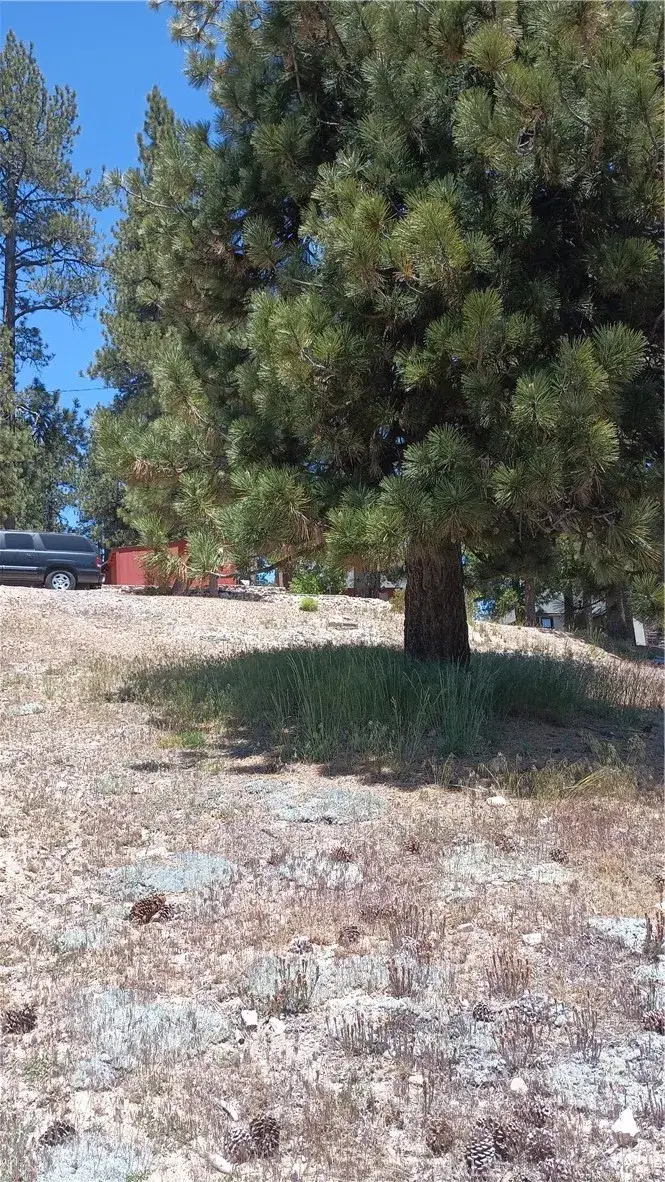 39237 Crest, Big Bear Lake, CA 92315 - #2