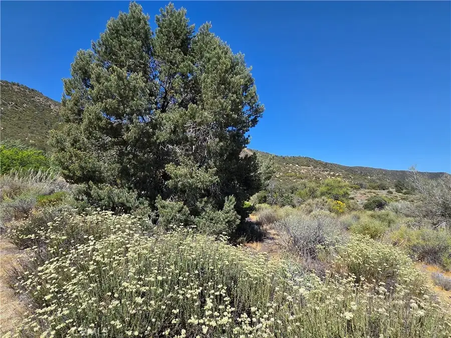 37210 Bohlen, Anza, CA 92539 - #2