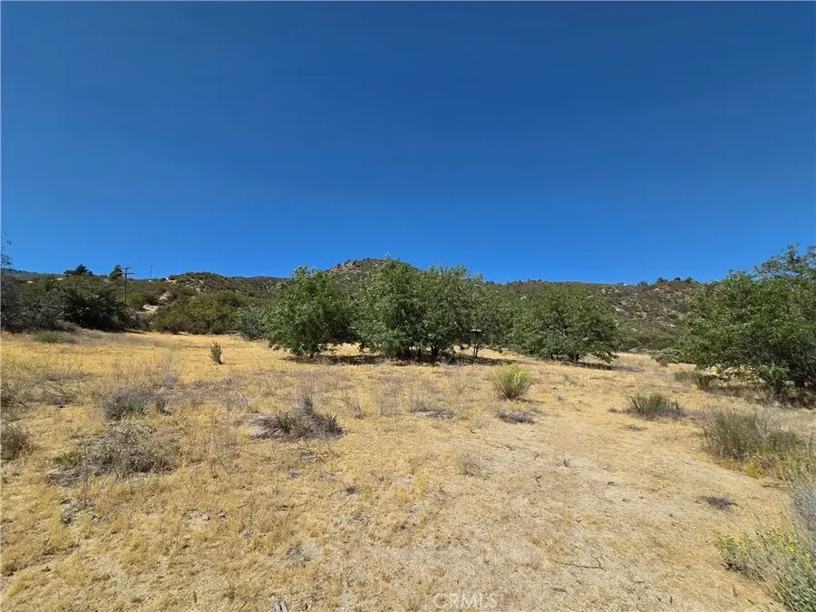 37210 Bohlen, Anza, CA 92539 - #3