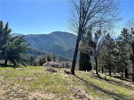 41 Fredalba, Running Springs, CA 92382